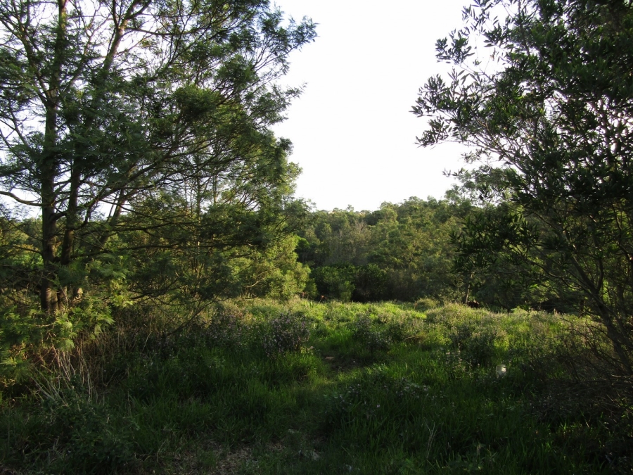 0 Bedroom Property for Sale in Kruisfontein Eastern Cape
